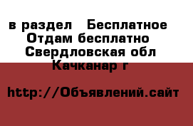  в раздел : Бесплатное » Отдам бесплатно . Свердловская обл.,Качканар г.